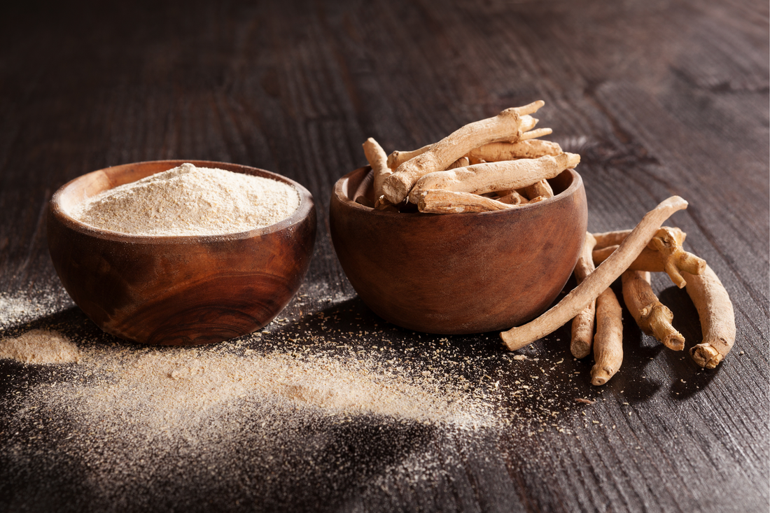 11 Natural Health-Boosting Ingredients For Your Pet