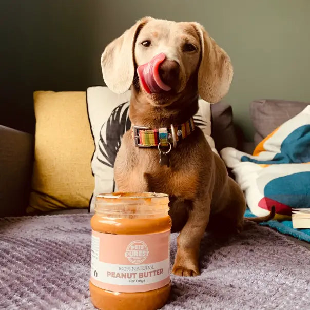 Natural peanut butter clearance for dogs