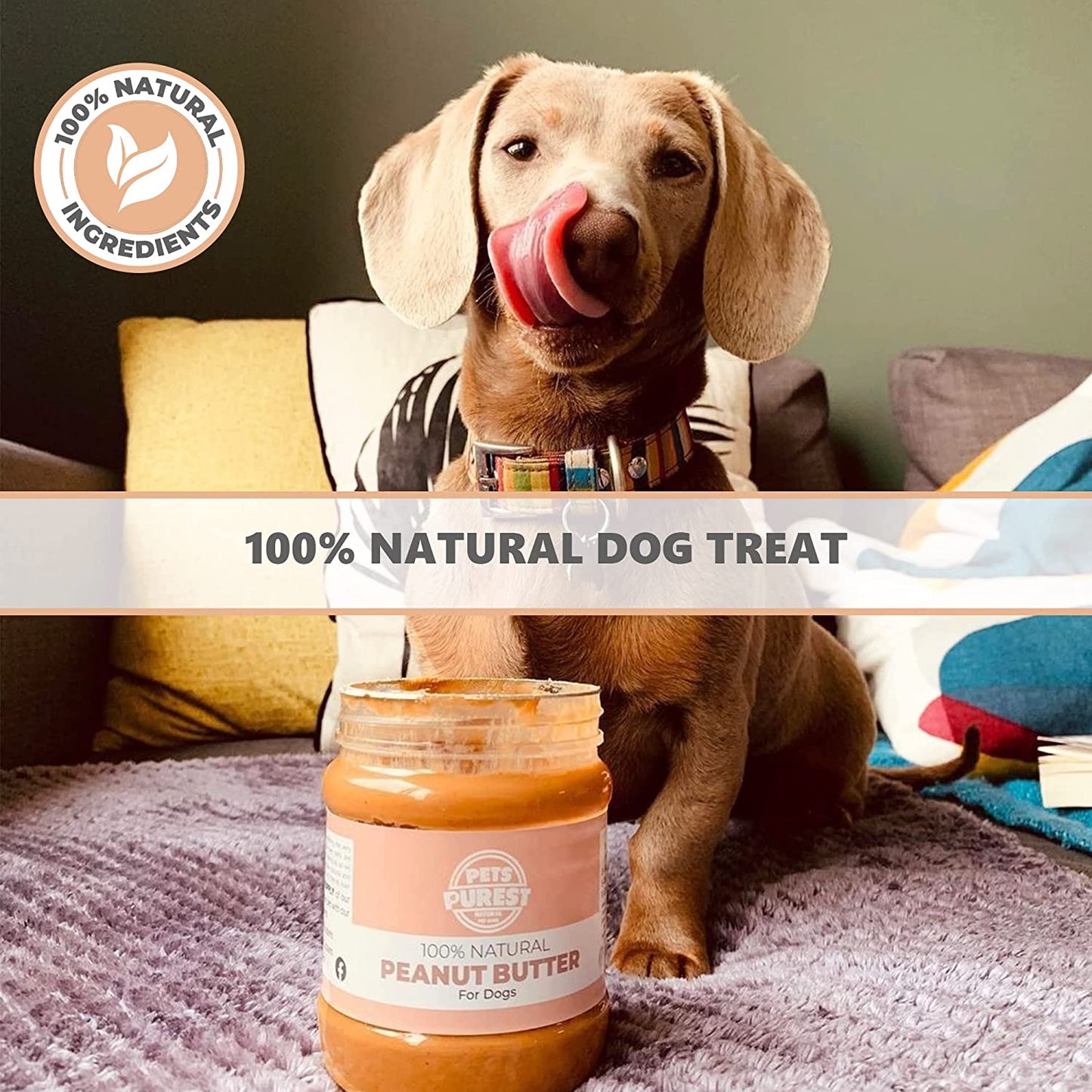 Natural Peanut Butter for Dogs 340g | 5 Jar Bundle
