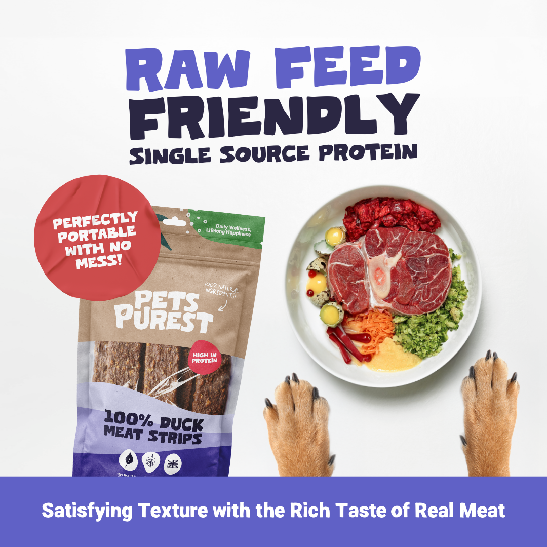100% Natural Duck Meat Strips for Dogs | 100g