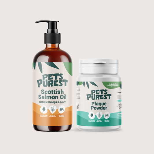 Best Sellers Supplement Bundle (Regular)