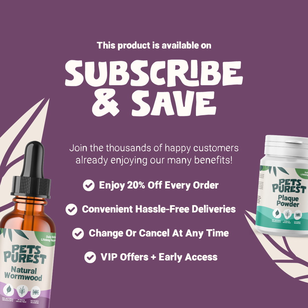 All Itch Drops 50ml for Dogs and Cats