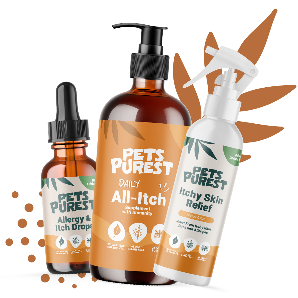 Itchy Skin Supplements for Cats