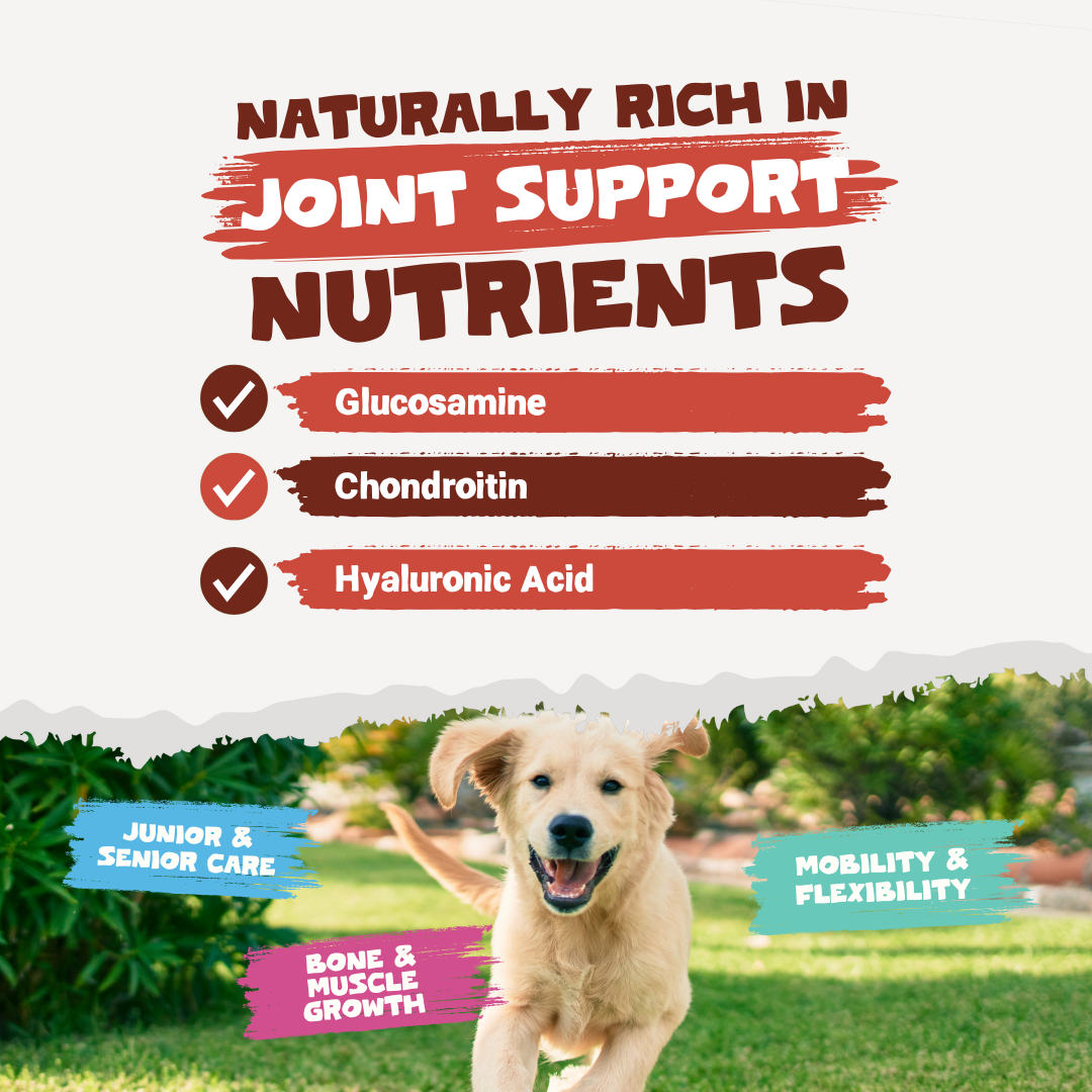 Beef Bone Broth Powder for Dogs and Cats