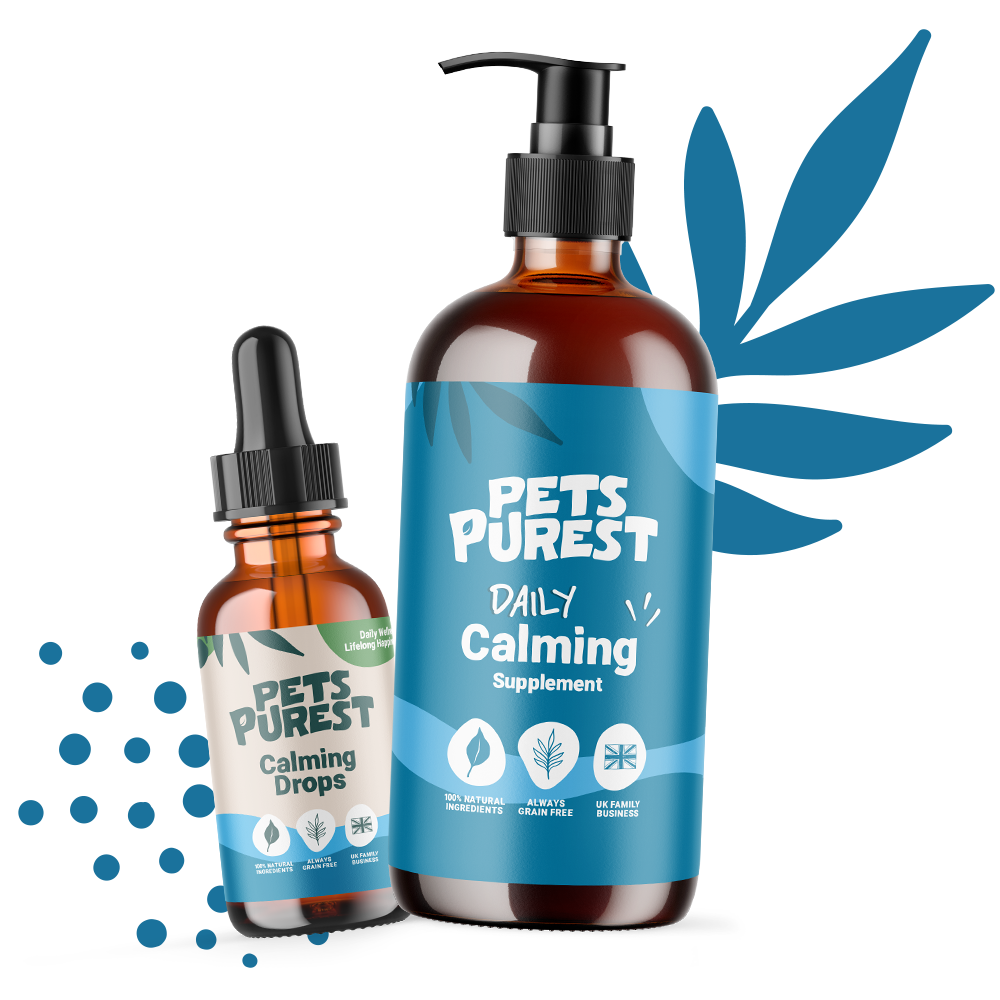 Calming Supplements for Dogs