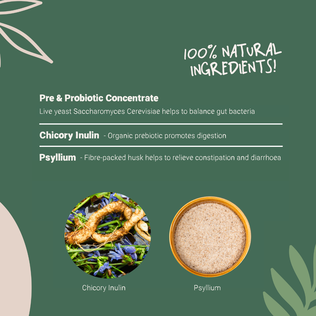 Pre & Probiotic Powder