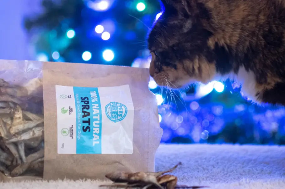 Pets Purest 2021 Christmas Gift Guide
