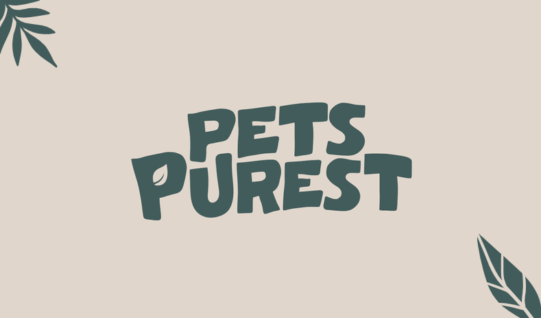 New Branding - Frequently Asked Questions