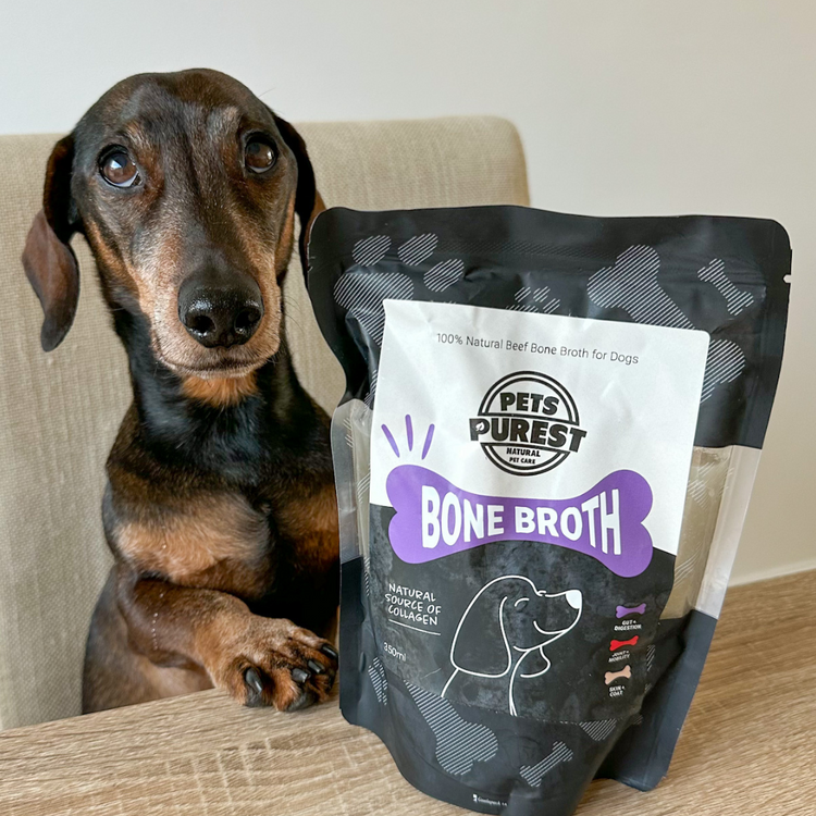 Bone Broth for Dogs A Comprehensive Guide