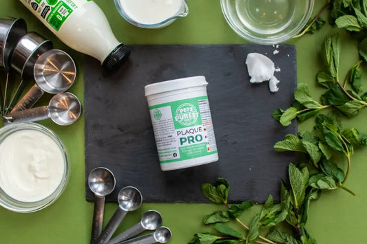 Fresh Breath Treat Recipe