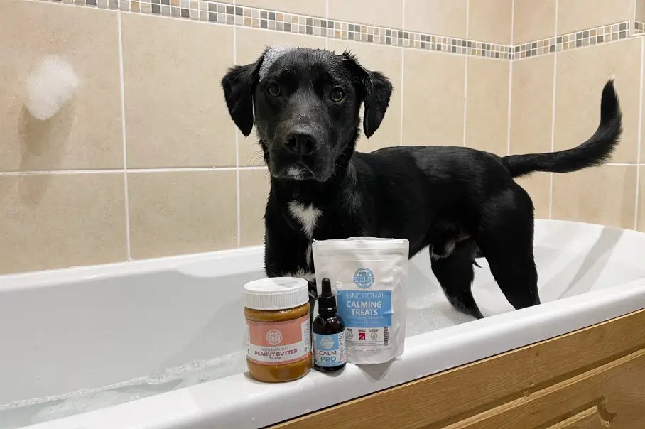 pets-purest-natural-dog-treats