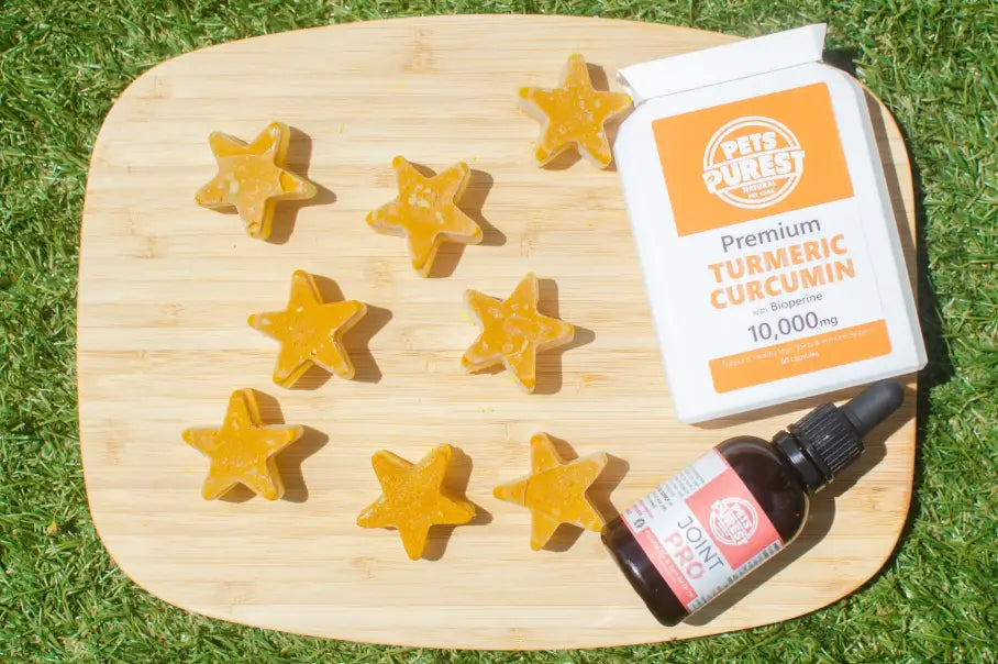 Beat The Heat! Keep Your Pet Cool With This Easy Recipe