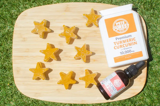 Beat The Heat! Keep Your Pet Cool With This Easy Recipe