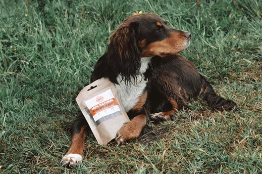 dog_treat_natural_pet