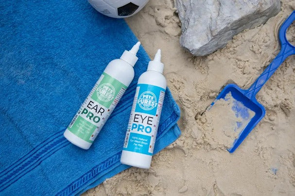 Tips To Keep Your Pet Safe At The Beach This Summer