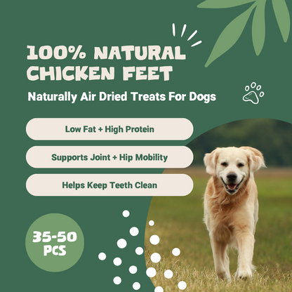 100% Natural Chicken Feet for Dogs | 1kg