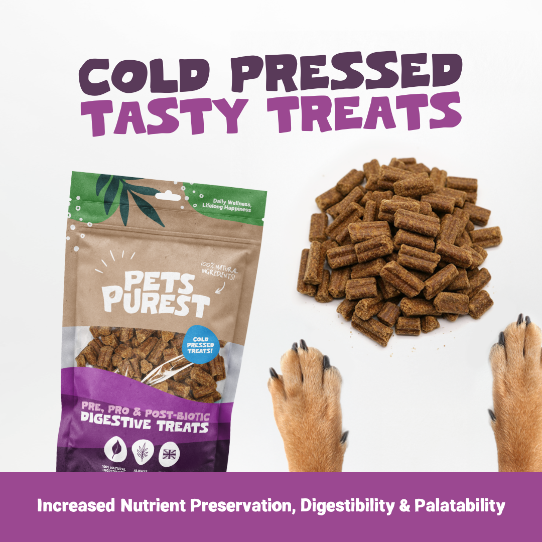 Pre, Pro & Post-Biotic Digestive Treats | 200g