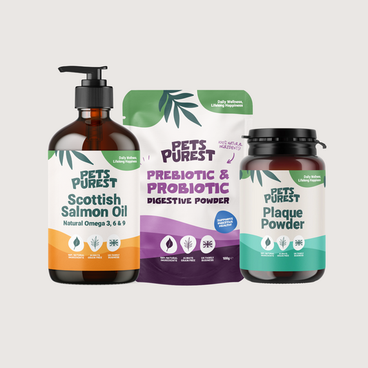 Best Sellers Supplement Bundle (Large)