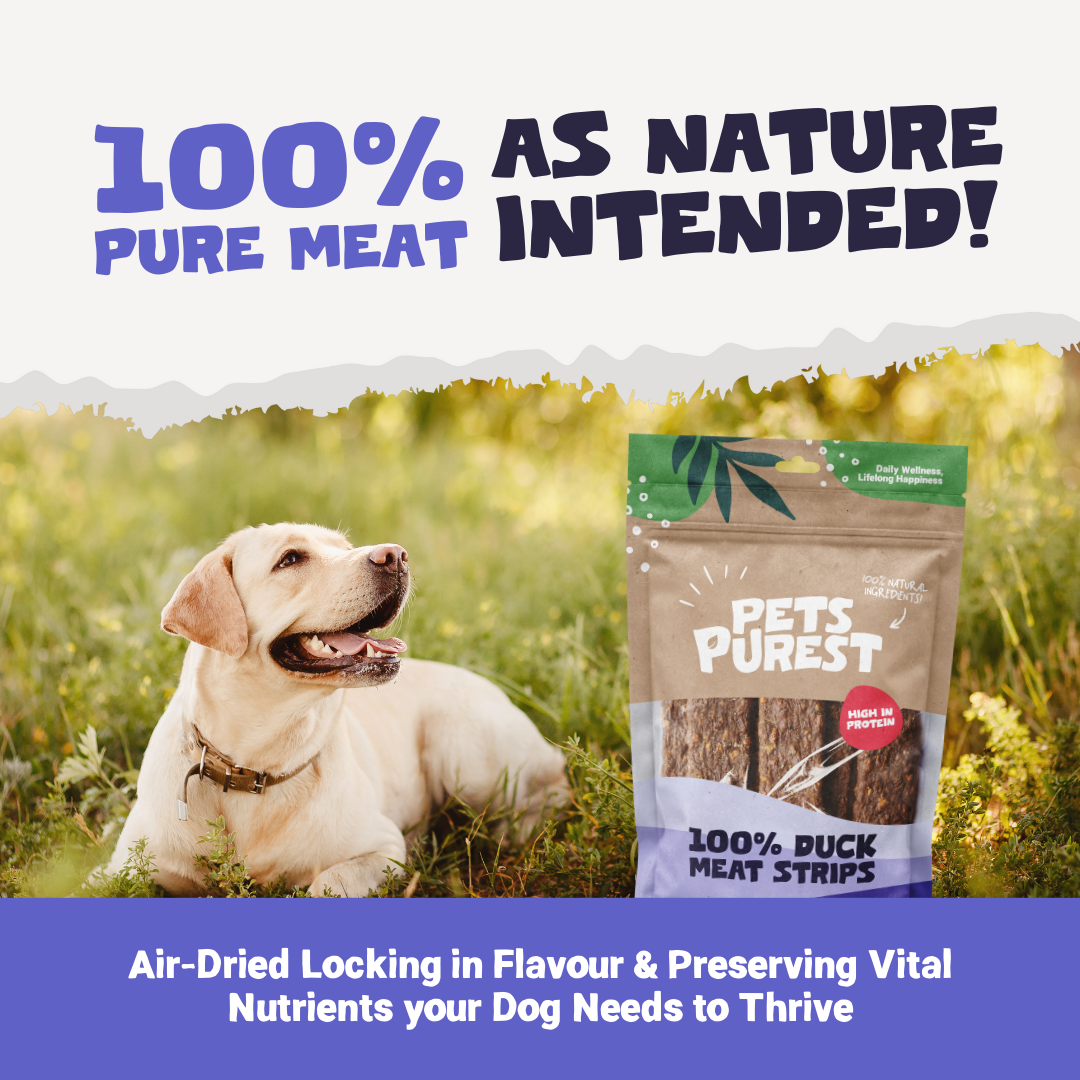 100% Natural Duck Meat Strips for Dogs | 100g