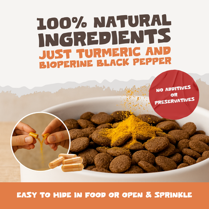 Natural Turmeric Curcumin | 60 Capsules