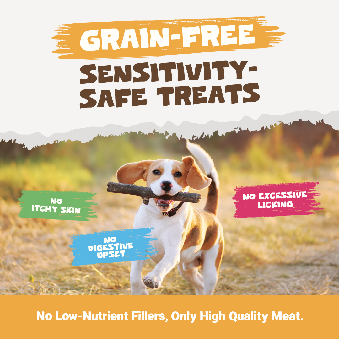 100% Natural Chicken Meat Strips for Dogs | 100g