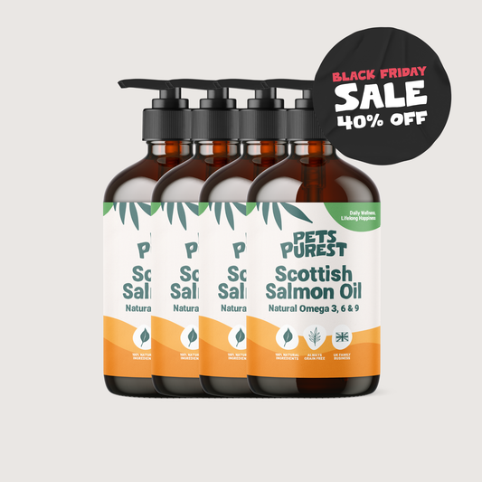 Natural Scottish Salmon Oil 300ml | 4 Pack Bundle