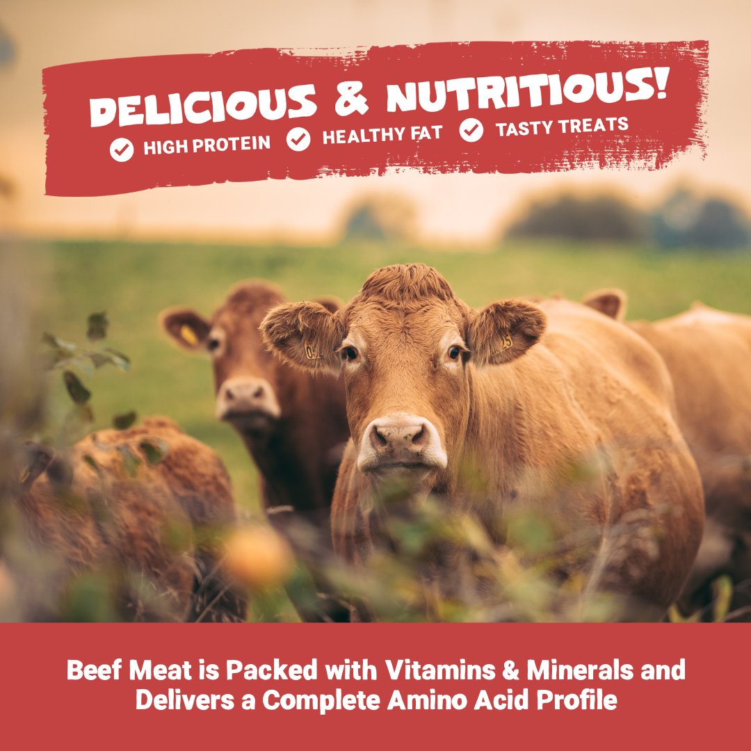 100% Natural Beef Meat Strips for Dogs | 100g