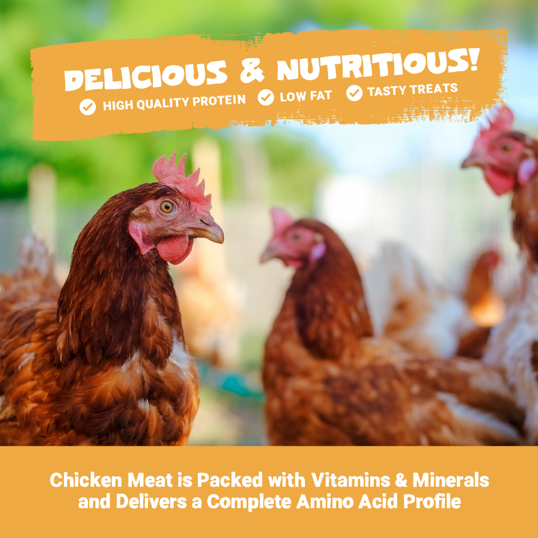 100% Natural Chicken Meat Strips for Dogs | 100g