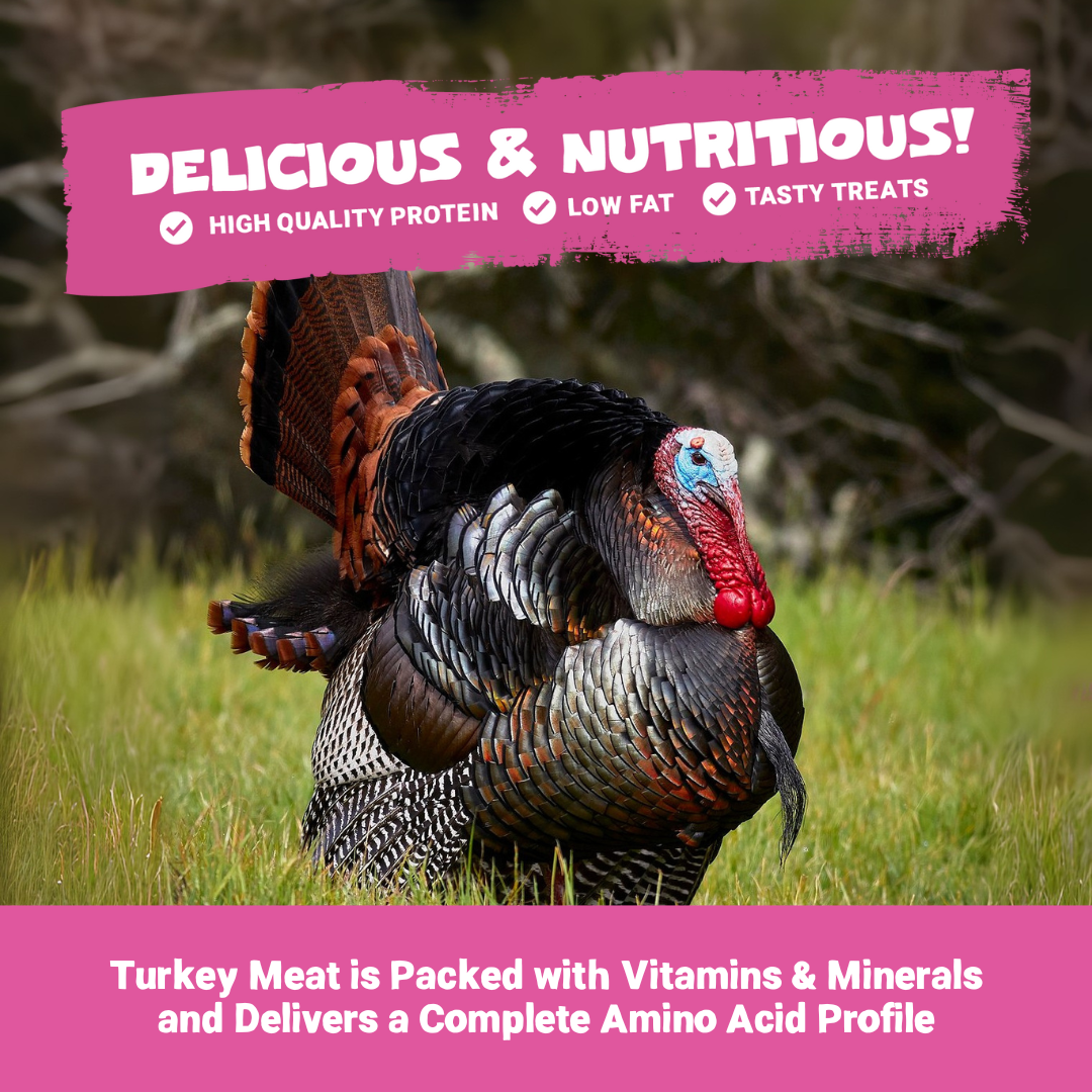 100% Natural Turkey Meat Strips for Dogs | 100g
