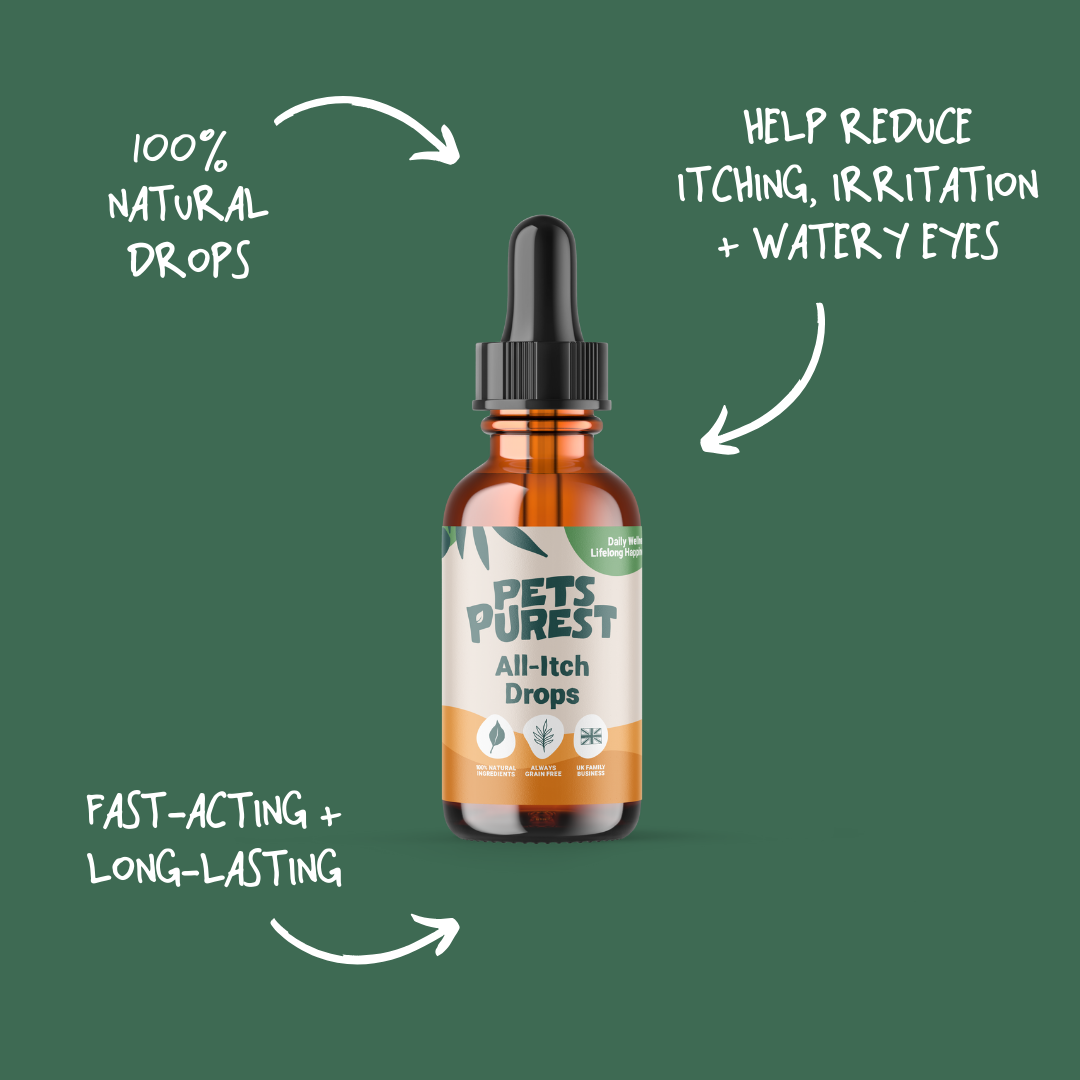 Antihistamine eye drops for cats cheap