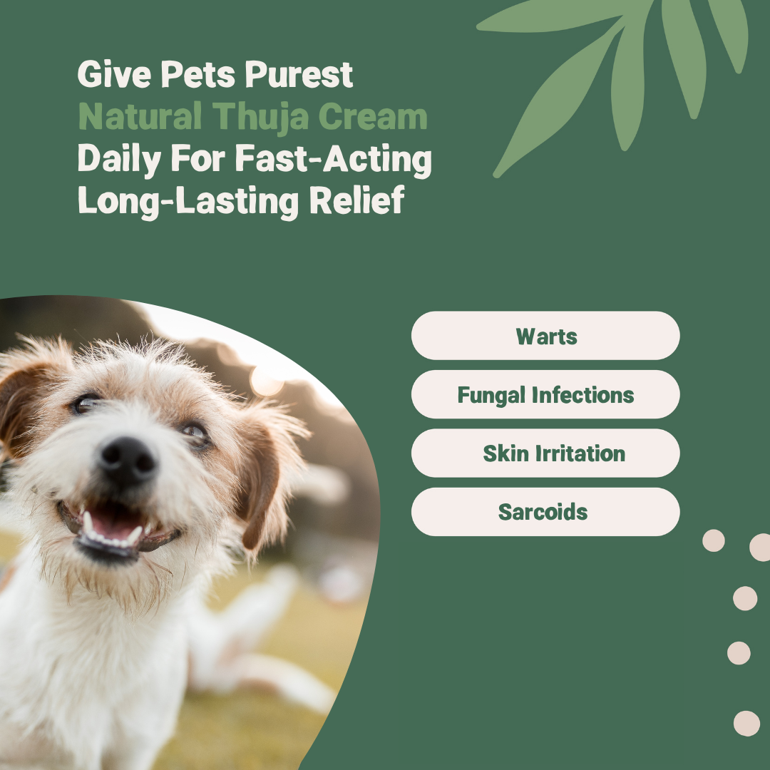 Natural Thuja Cream for Dogs Pets Purest