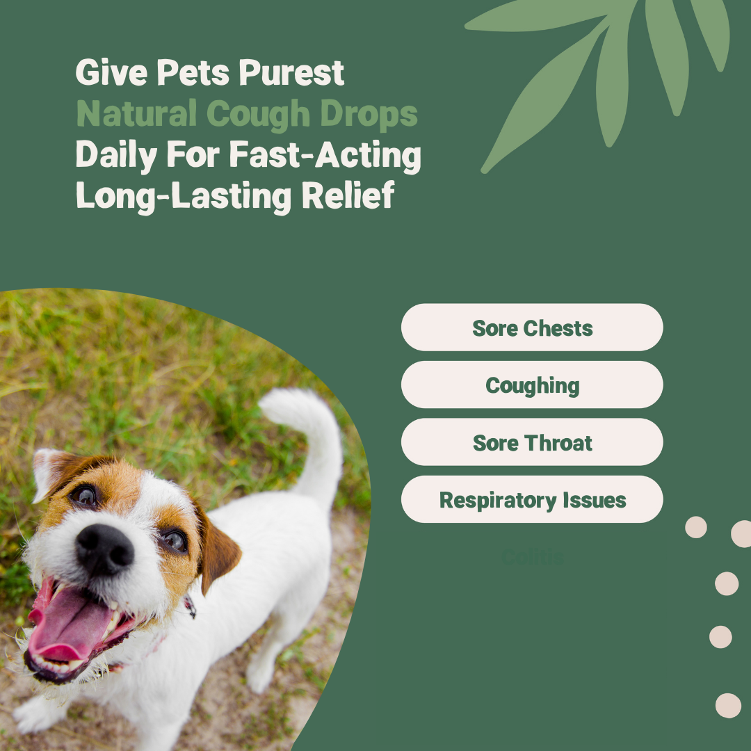 Cough Drops for Dogs and Cats | 30ml