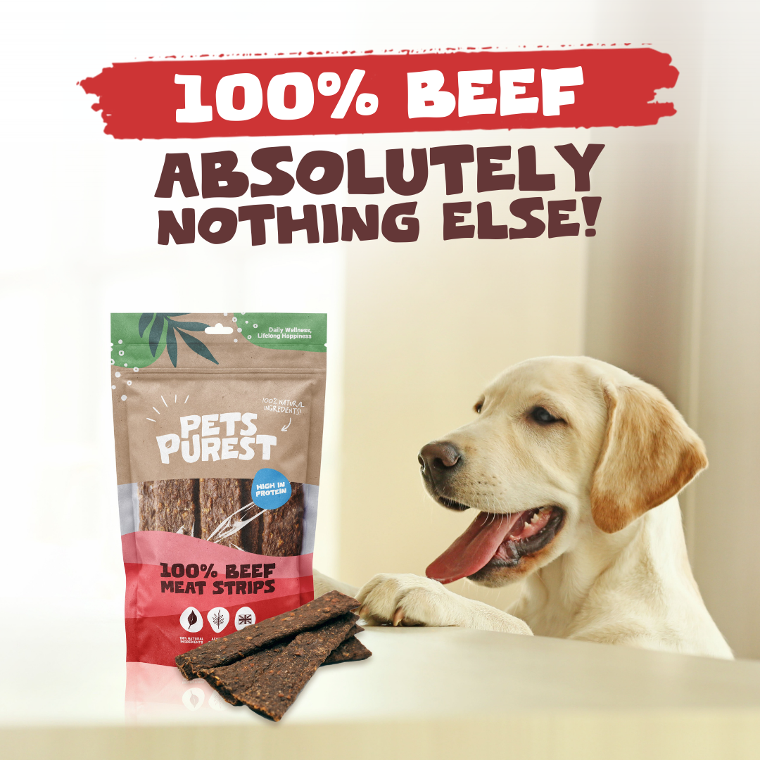 100% Natural Beef Meat Strips for Dogs | 100g