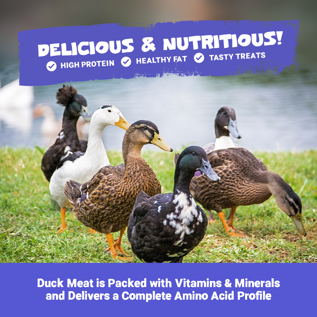 100% Natural Duck Meat Strips for Dogs | 100g