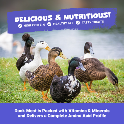 100% Natural Duck Meat Strips