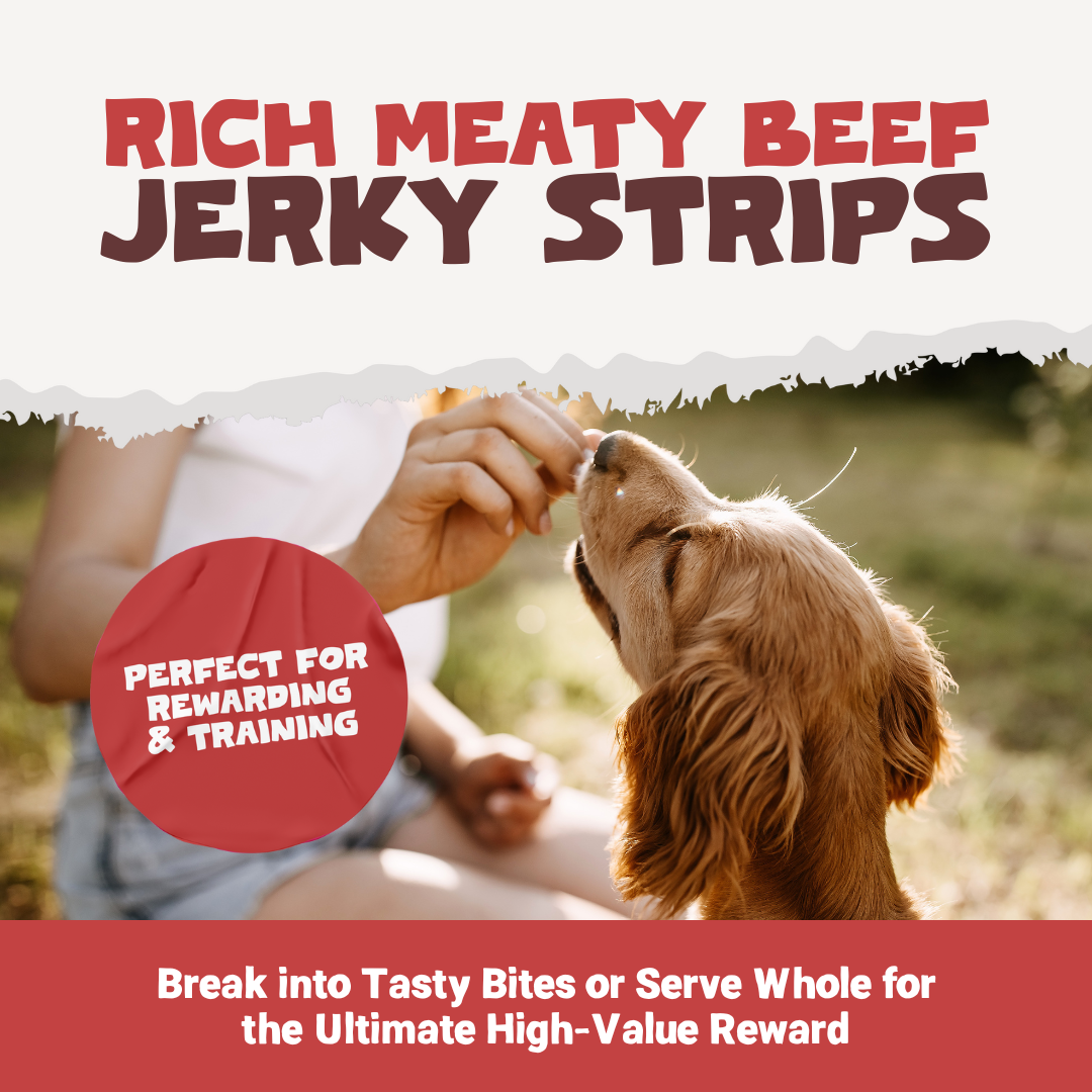 100% Natural Beef Meat Strips for Dogs | 100g