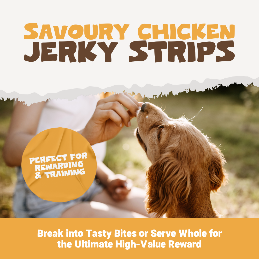 100% Natural Chicken Meat Strips for Dogs | 100g