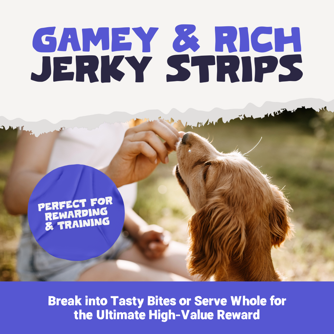 100% Natural Duck Meat Strips for Dogs | 100g