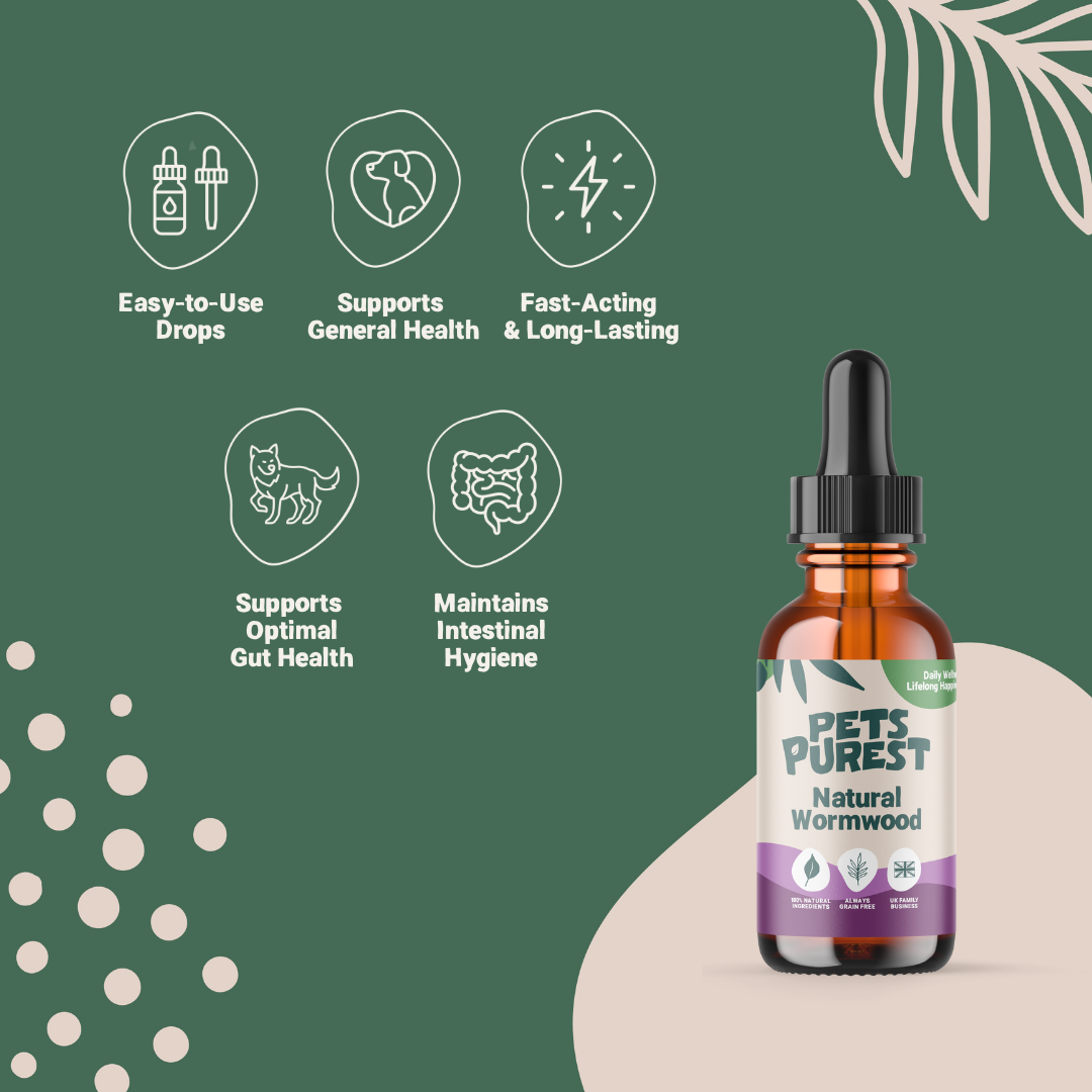Wellbeing Drops Bundle