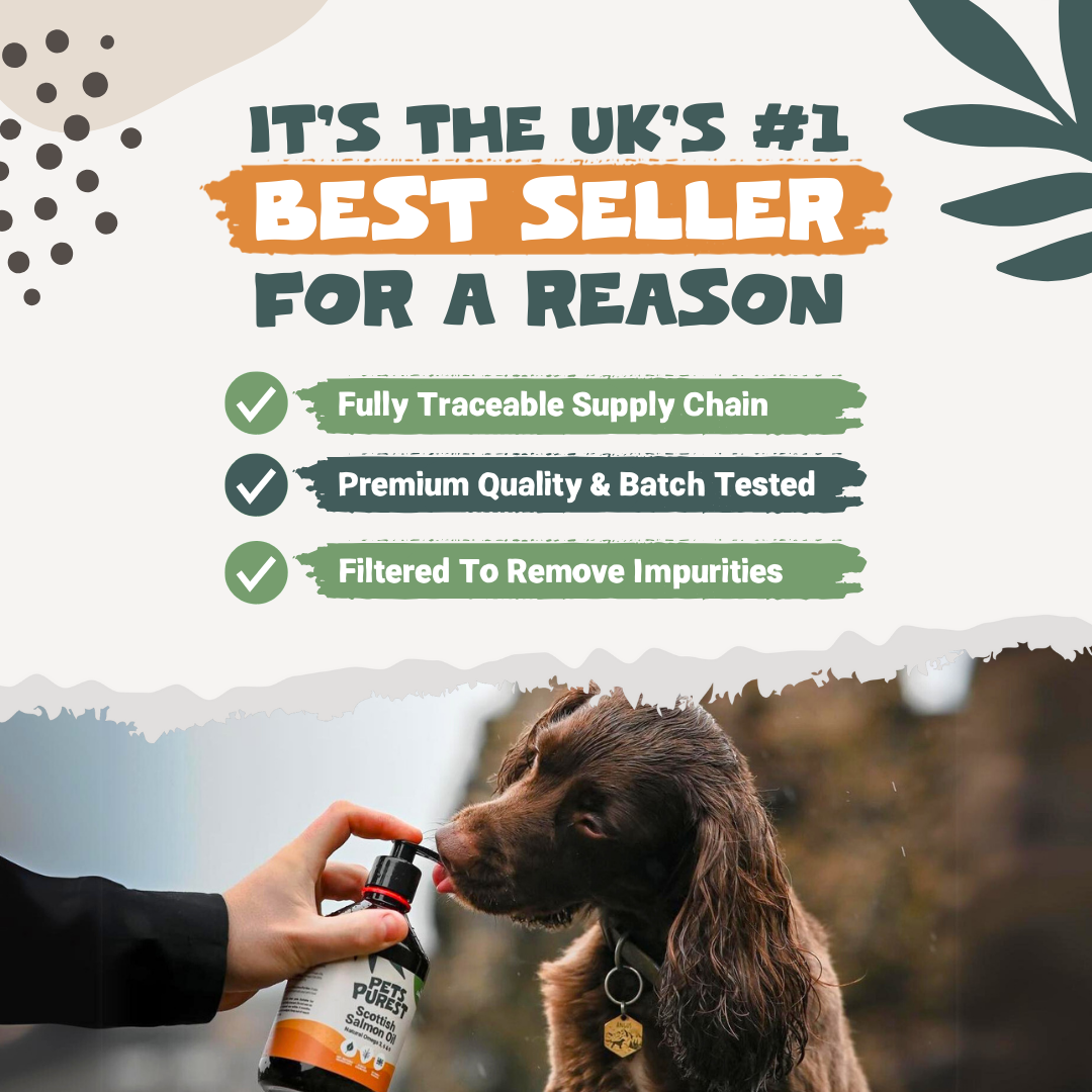 Natural Scottish Salmon Oil 2500ml | For Dogs & Cats