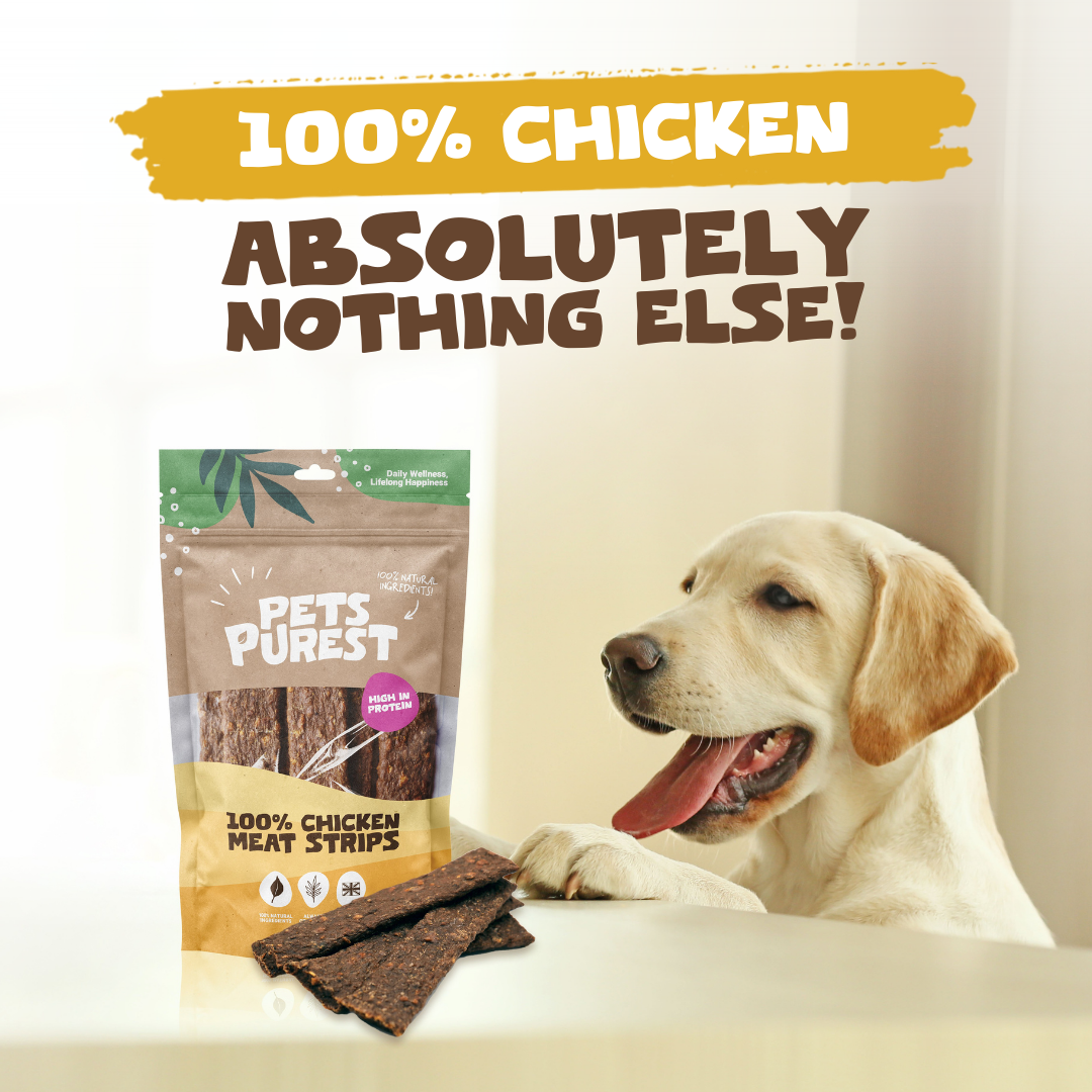 100% Natural Chicken Meat Strips for Dogs | 100g