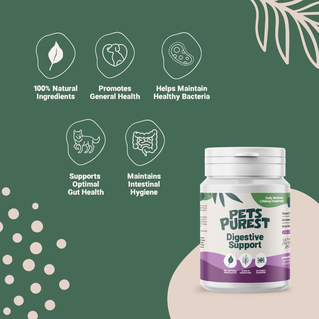 Colon Rescue Herbal Support For Dogs Cats,100% Organic Grade Herbs Laxative,Healthy Gastrointestinal Tract,Constipation Diarrhea And Gas Home Animal Essentials Colon Rescue Reviews Colon Rescue Herbal Support For Dogs Cats,100% Organic Grade Herbs Laxative,Healthy Gastrointestinal Tract,Constipation Diarrhea And Gas Home Animal Essentials Colon Rescue Reviews