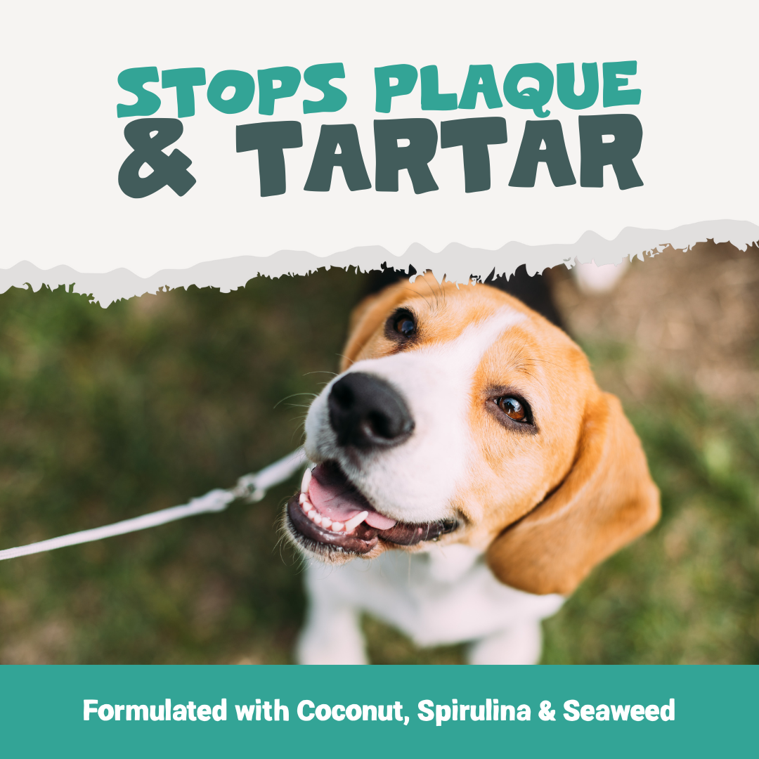 Plaque Support Dental Treats | 200g