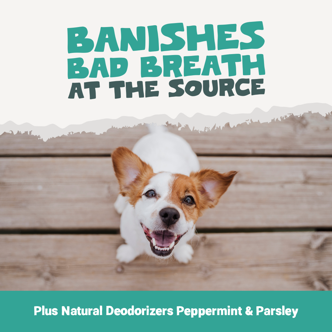 Plaque Support Dental Treats | 200g