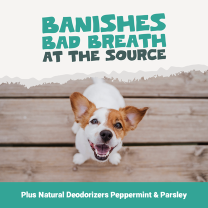 Plaque Support Dental Treats | 200g