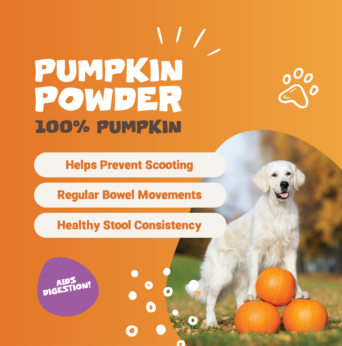 Pumpkin Powder for Dogs & Cats | 250g