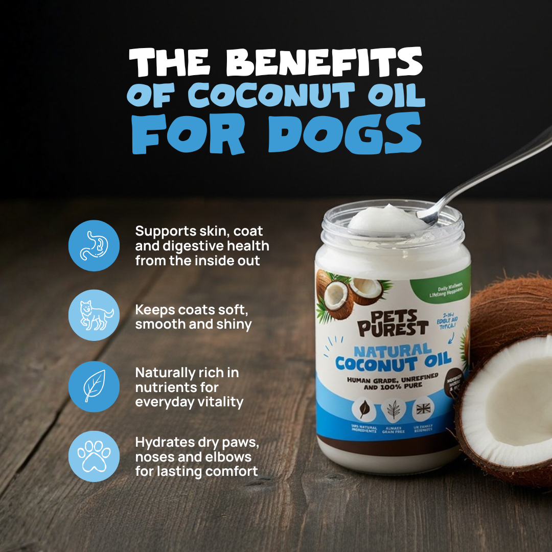 Coconut Oil for Dogs 340g | Cold Pressed Organic | Pets Purest