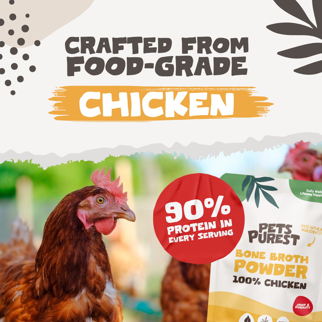 Chicken Bone Broth Powder For Dogs & Cats | 250g