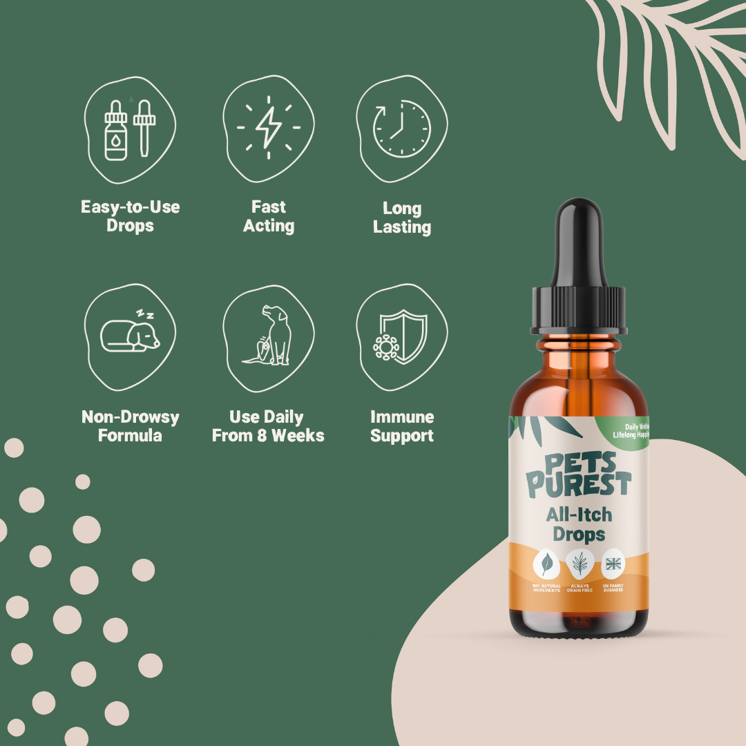 All Itch Drops 50ml for Dogs and Cats