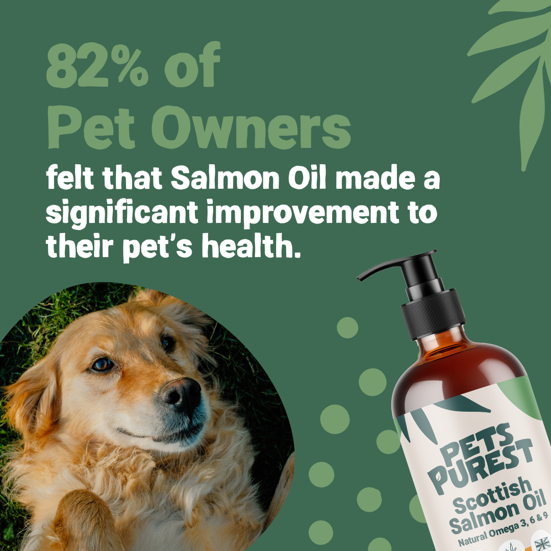 Fish oil for golden retrievers best sale